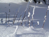 Ski 2003 Hruzovi 045