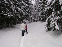 Ski 2005 Melantrich 44