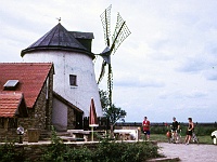 Ebi 1992 Paedr 023  14.7.1992 Lesná