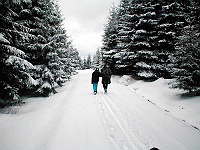 Ski 2002 Melantrich 160