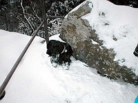 Ski 2002 Melantrich 186
