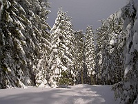 Ski 2007 Ottakarka 024