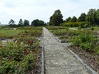 EBI 2025 Mirek 299  Růžový sad v Lidicích shromažďuje darované růže z celého světa. - čtvrtek, 7. srpna