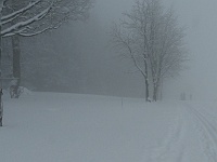 SKI 2025 Mirek 054  Ostatní na mě čekají v mlze. - sobota, 15. února